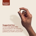 andrew-lessman-cinnamon-400mg-360-capsul-6.jpg