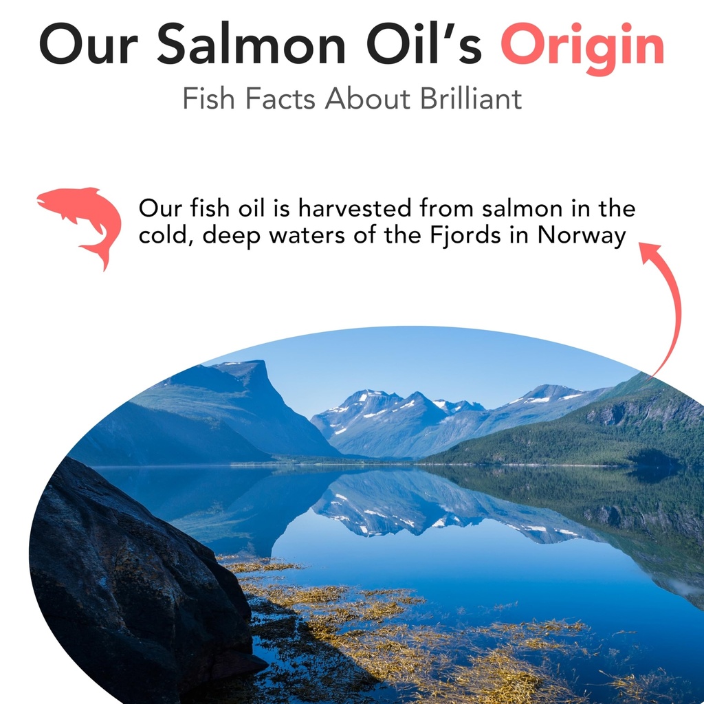 brilliant-norwegian-salmon-oil-for-dogs--5.jpg
