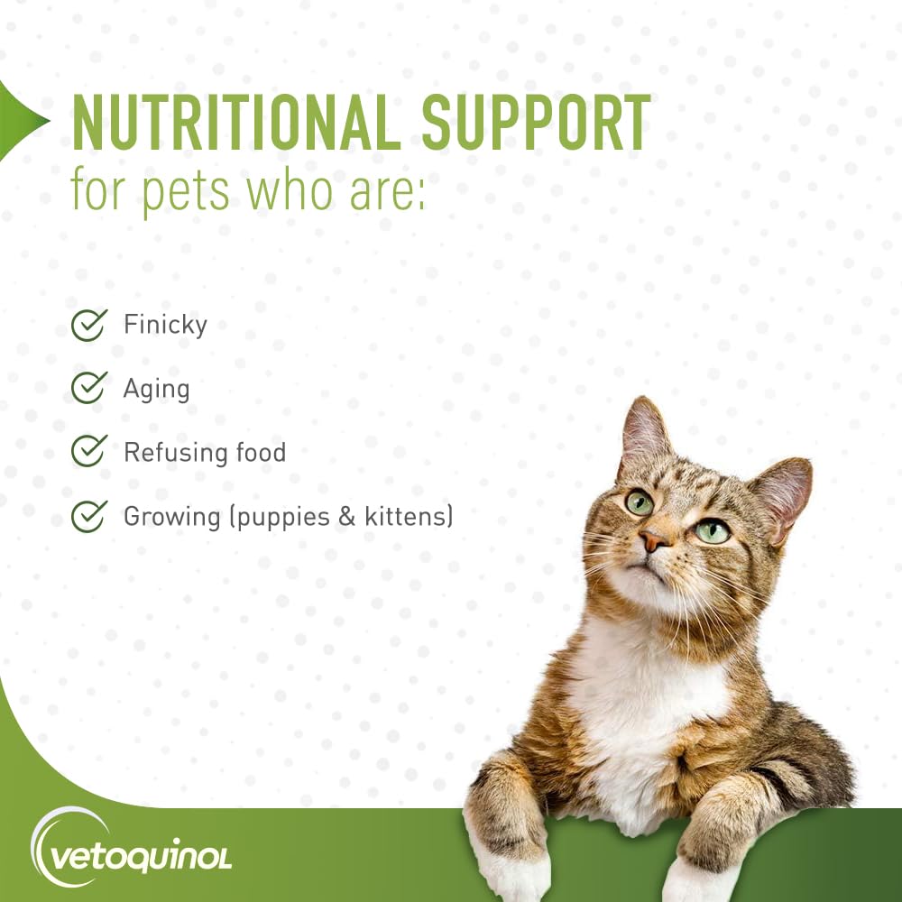 vetoquinol-nutri-cal-high-calorie-nutrit-3.jpg