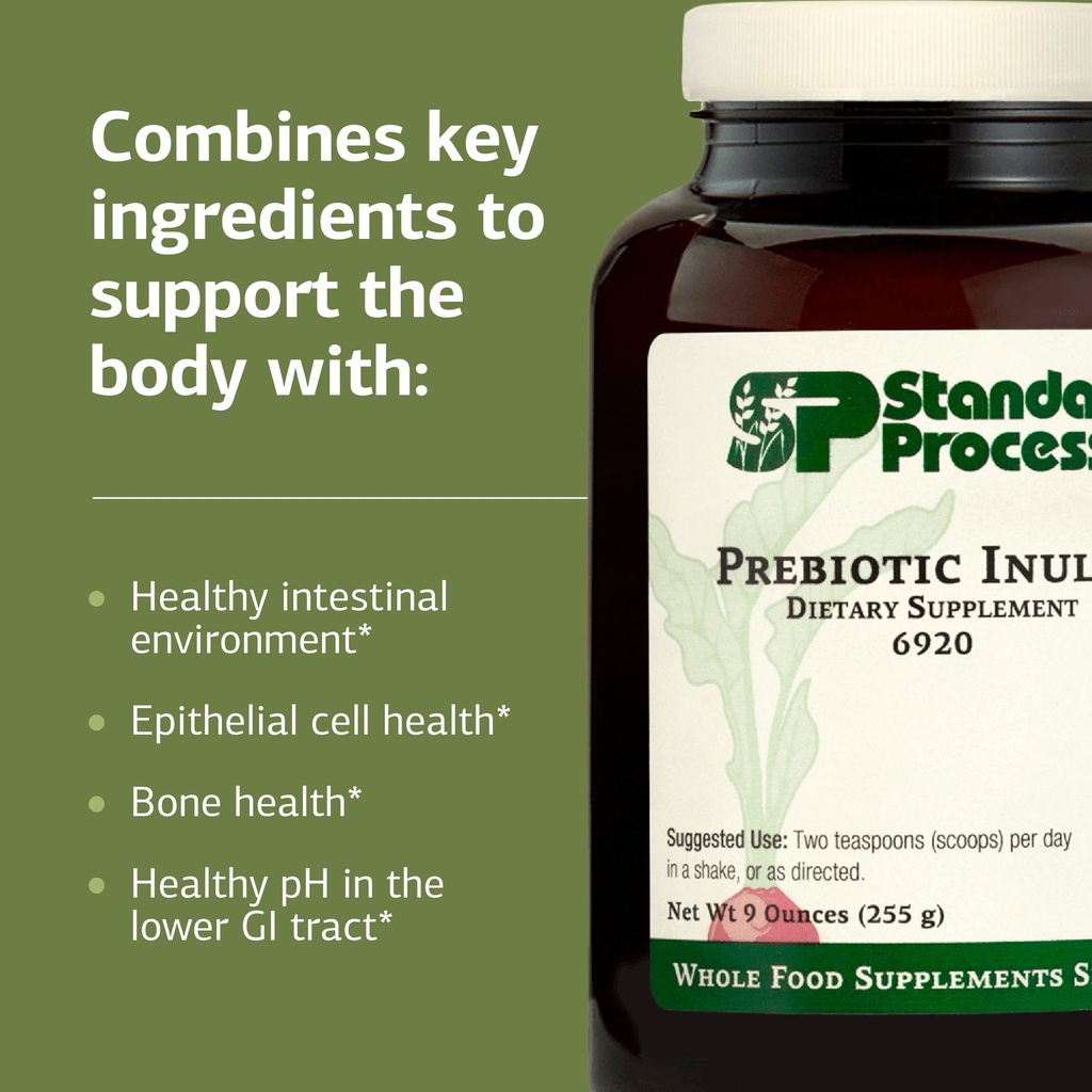standard-process-prebiotic-inulin-gut-he-4.jpg