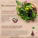 best-botanicals-bayberry-root-bark-powde-2.jpg