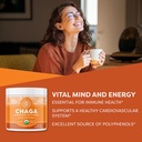 vimergy-chaga-powder-superfood-cellular--2.jpg