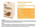 wild-cordyceps-plus-tibetan-wild-cordyce-4.jpg