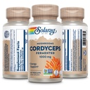 solaray-fermented-cordyceps-mushroom-100-3.jpg