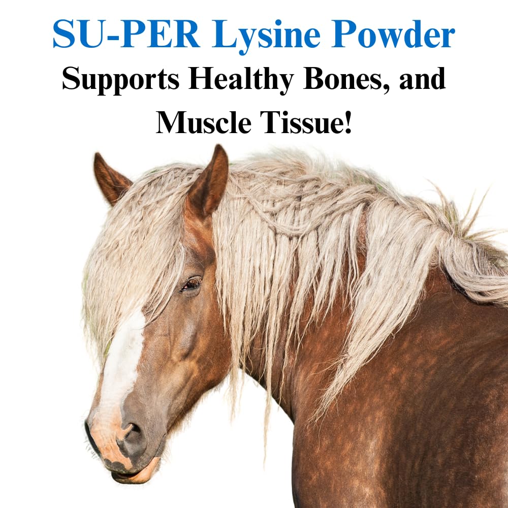 su-per-lysine-supplement-for-horses-supp-3.jpg