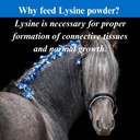 su-per-lysine-supplement-for-horses-supp-4.jpg
