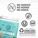 organic-greens-probiotic-powder-vegan-co-4.jpg