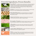 stonehenge-health-dynamic-brain-dynamic--4.jpg