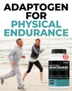 renew-actives-shatavari-capsules-natural-4.jpg