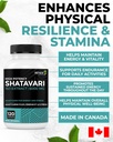 renew-actives-shatavari-capsules-natural-5.jpg
