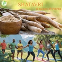 shatavari-capsules-500-mg-asparagus-race-4.jpg
