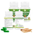shatavari-capsules-500-mg-asparagus-race-2.jpg