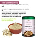 100-organic-shatavari-root-powder-hormon-5.jpg