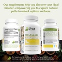 jiva-botanicals-shatavari-supplement-120-6.jpg