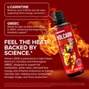 innosupps-volcarn-2000-l-carnitine-advan-5.jpg