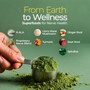 the-nerve-brand-neuropathy-superfood-ble-4.jpg