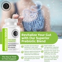 intestinal-fortitude-prebiotic-gold-kiwi-3.jpg
