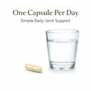 natural-vegan-friendly-joint-health-supp-5.jpg