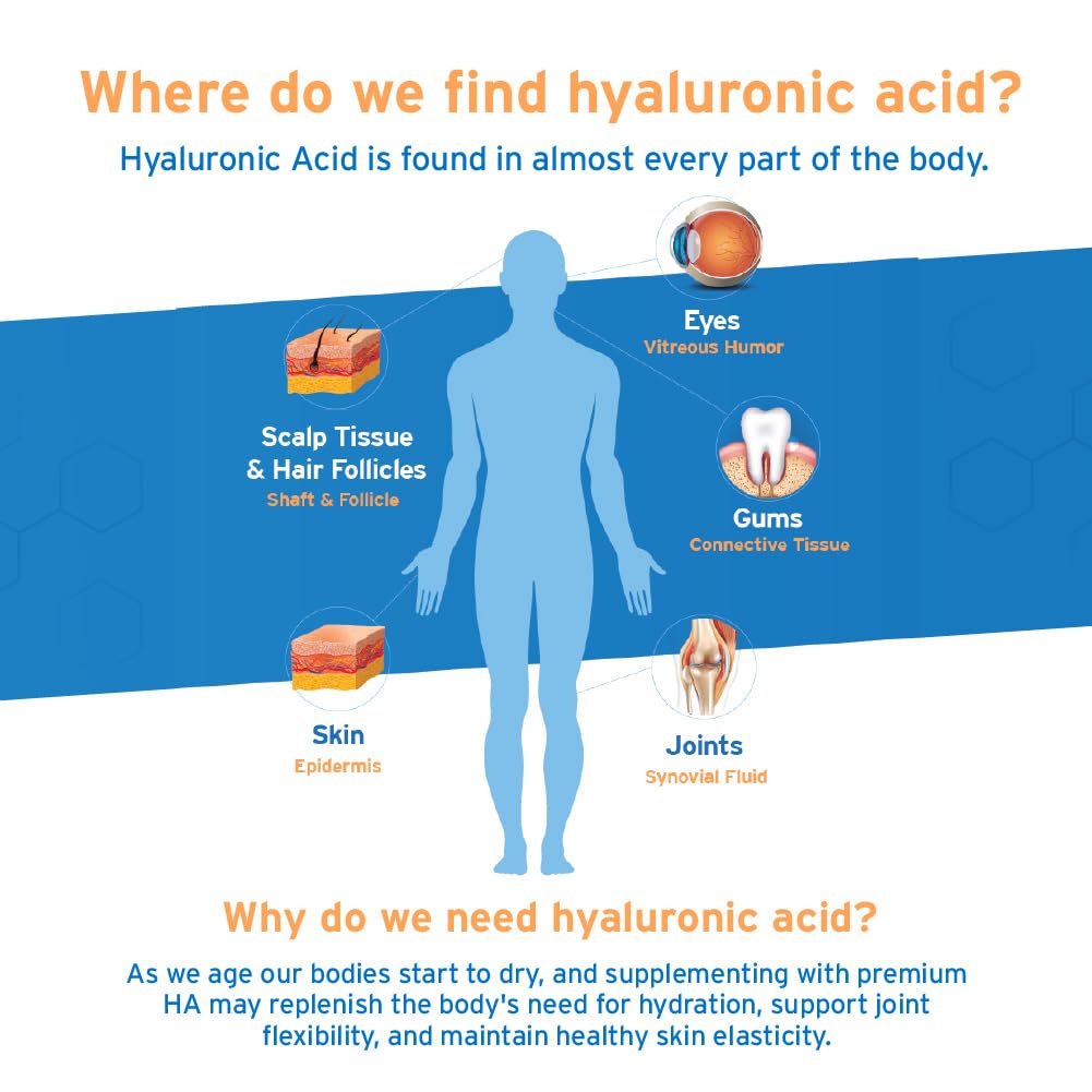hyalogic-synthovial-seven-liquid-hyaluro-3.jpg