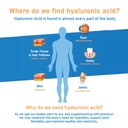 hyalogic-synthovial-seven-liquid-hyaluro-3.jpg