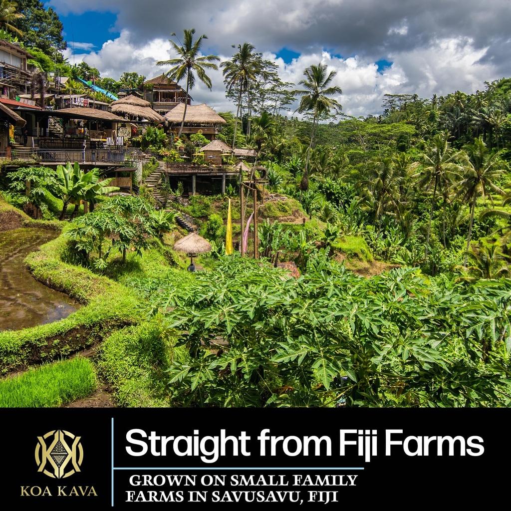 koa-kava-fiji-premium-noble-waka-tea-mad-5.jpg