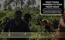 tongan-kava-kava-root-powder-noble-pouni-5.jpg
