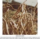 waka-kava-root-powder-1-lb-100-noble-kav-5.jpg