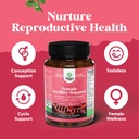 bundle-of-kava-kava-root-extract-supplem-5.jpg