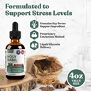 rejuvica-health-active-kava-kava-active--6.jpg
