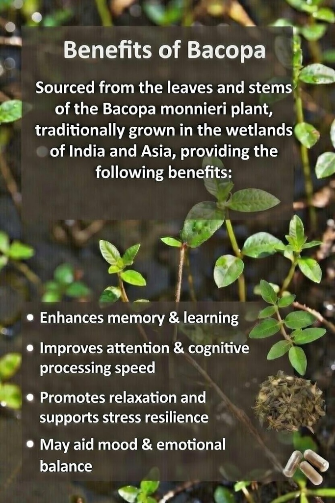 peace-bloom-calming-powder-mix-with-kava-6.jpg