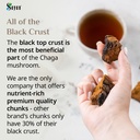 sayan-siberian-pure-raw-chaga-mushroom-c-2.jpg