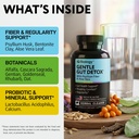 gut-health-supplement-with-psyllium-husk-4.jpg