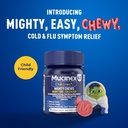 mucinex-children-s-mighty-chews-nighttim-2.jpg
