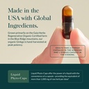 gaia-herbs-ginkgo-leaf-traditionally-use-4.jpg