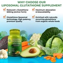 supplements-studio-high-absorption-antio-5.jpg