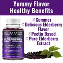elderberry-gummies-daily-immune-support--4.jpg