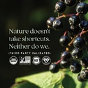 new-chapter-elderberry-gummies-for-adult-5.jpg