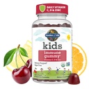 garden-of-life-immune-support-bundle-org-5.jpg