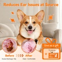 puainta-dog-ear-drops-with-finger-cots-n-6.jpg