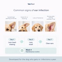 ear-infection-treatment-xl-dogs-cats-ear-3.jpg