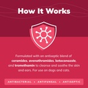 cerasoothe-ket-antiseptic-flush-for-dogs-4.jpg