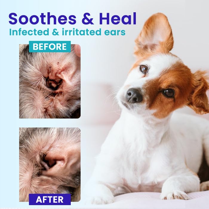 rzxea-pet-earpro-drops-2026-new-professi-2.jpg