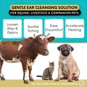 curicyn-ear-cleansing-solution-6.jpg