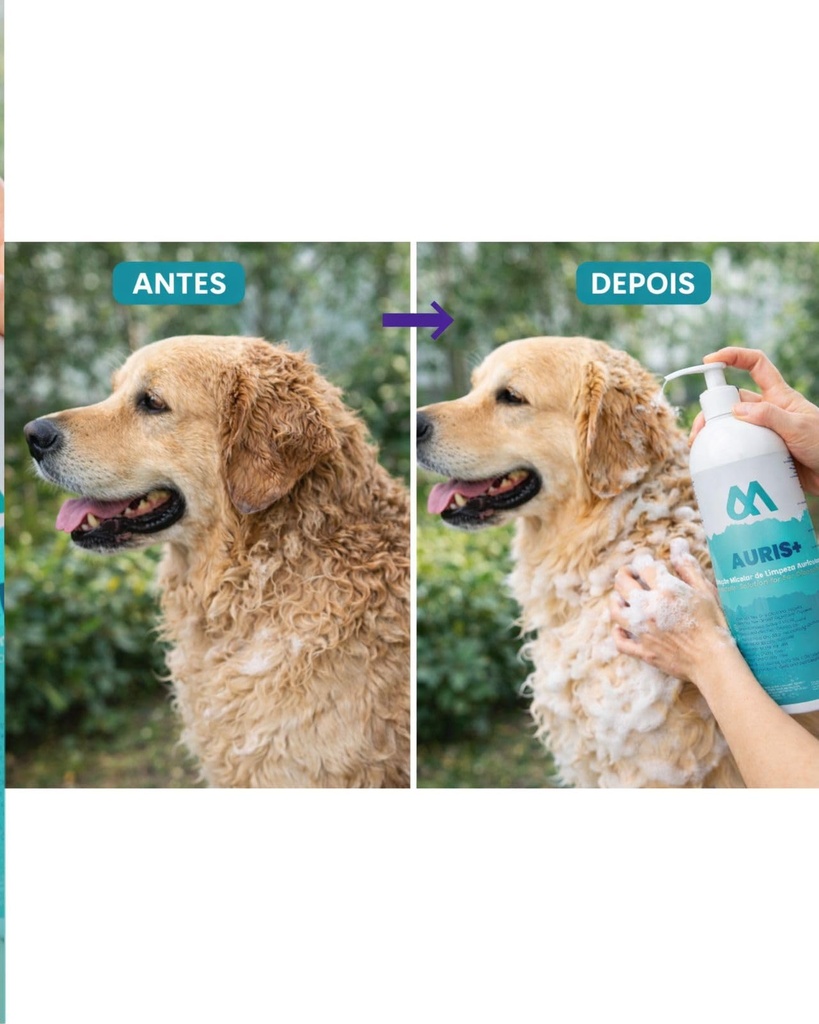 manzz-auris-professional-ear-cleaning-so-5.jpg