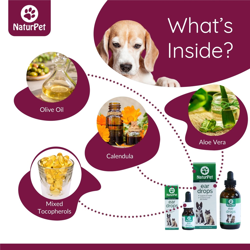 naturpet-ear-drops-natural-ear-infection-3.jpg