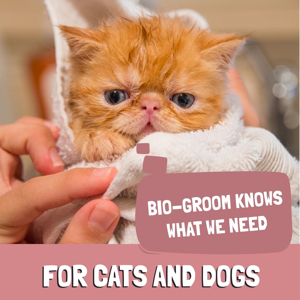 bio-groom-ear-mite-treatment-dog-ear-inf-4.jpg