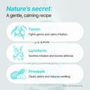 breezytail-peto-cera-eef-ear-cleaner-for-6.jpg