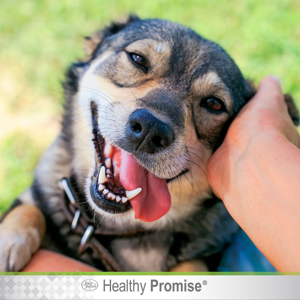 four-paws-healthy-promise-grooming-sooth-5.jpg