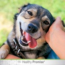 four-paws-healthy-promise-grooming-sooth-5.jpg