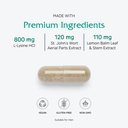 vitanica-lysine-extra-supplement-for-imm-4.jpg